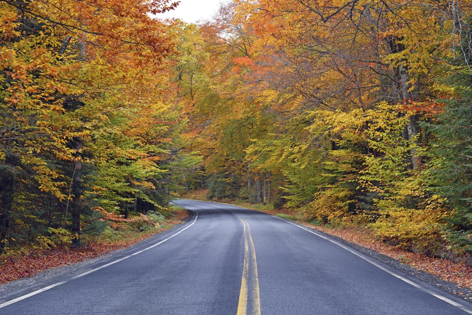 A two-lane road curves through a forest with trees displaying autumn foliage in shades of yellow, orange, and red.
