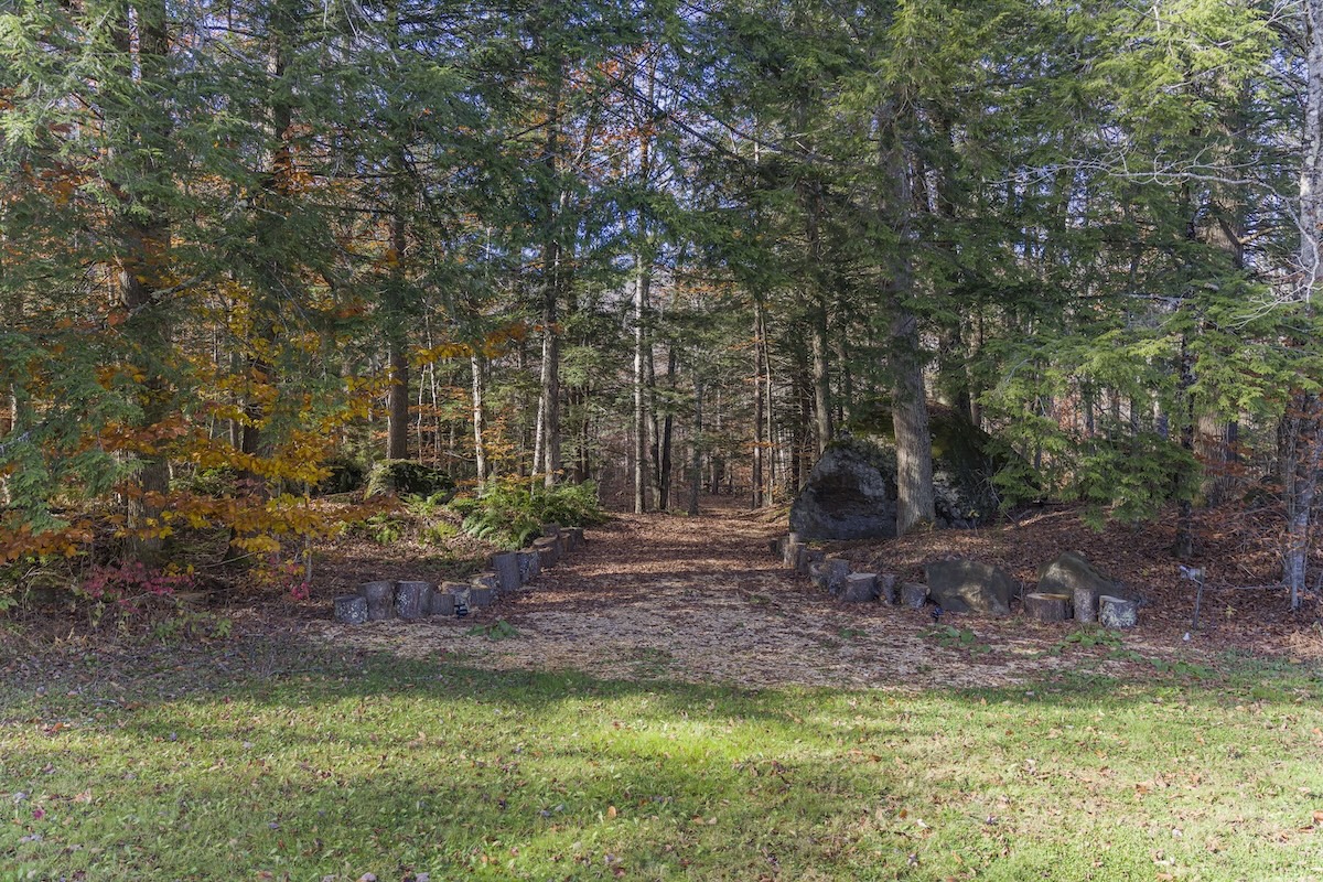 A dirt path lined with tree stumps leads into a forest with sunlight filtering through the trees and fallen leaves on the ground.